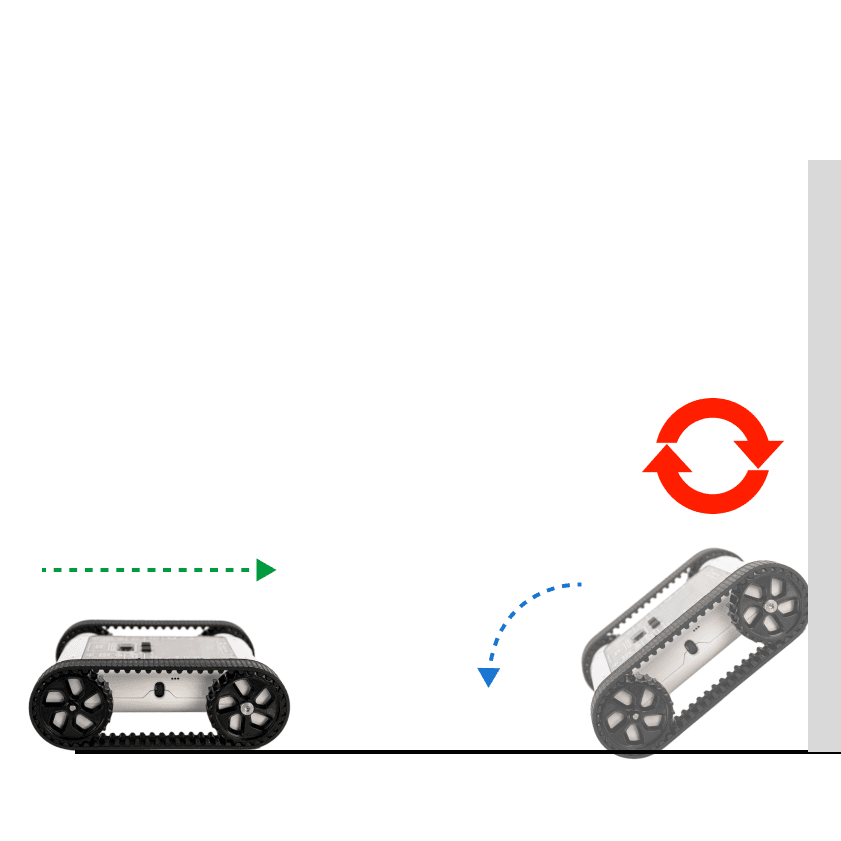 Activity: Flip Bot