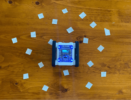 Activity: Random Bug Bot 2