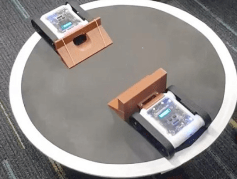 Activity: Sumo III