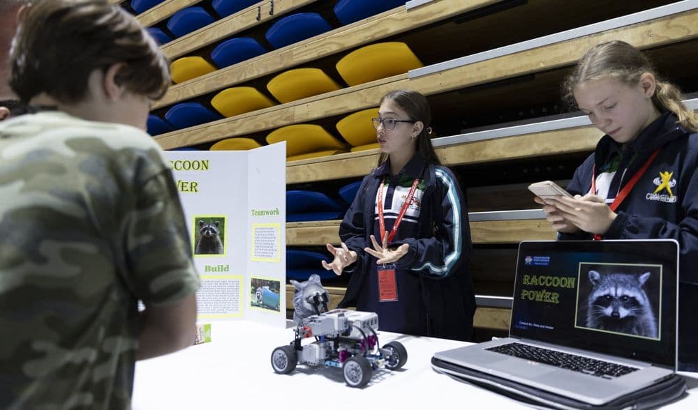 Entrepreneurial at RoboRAVE Australia